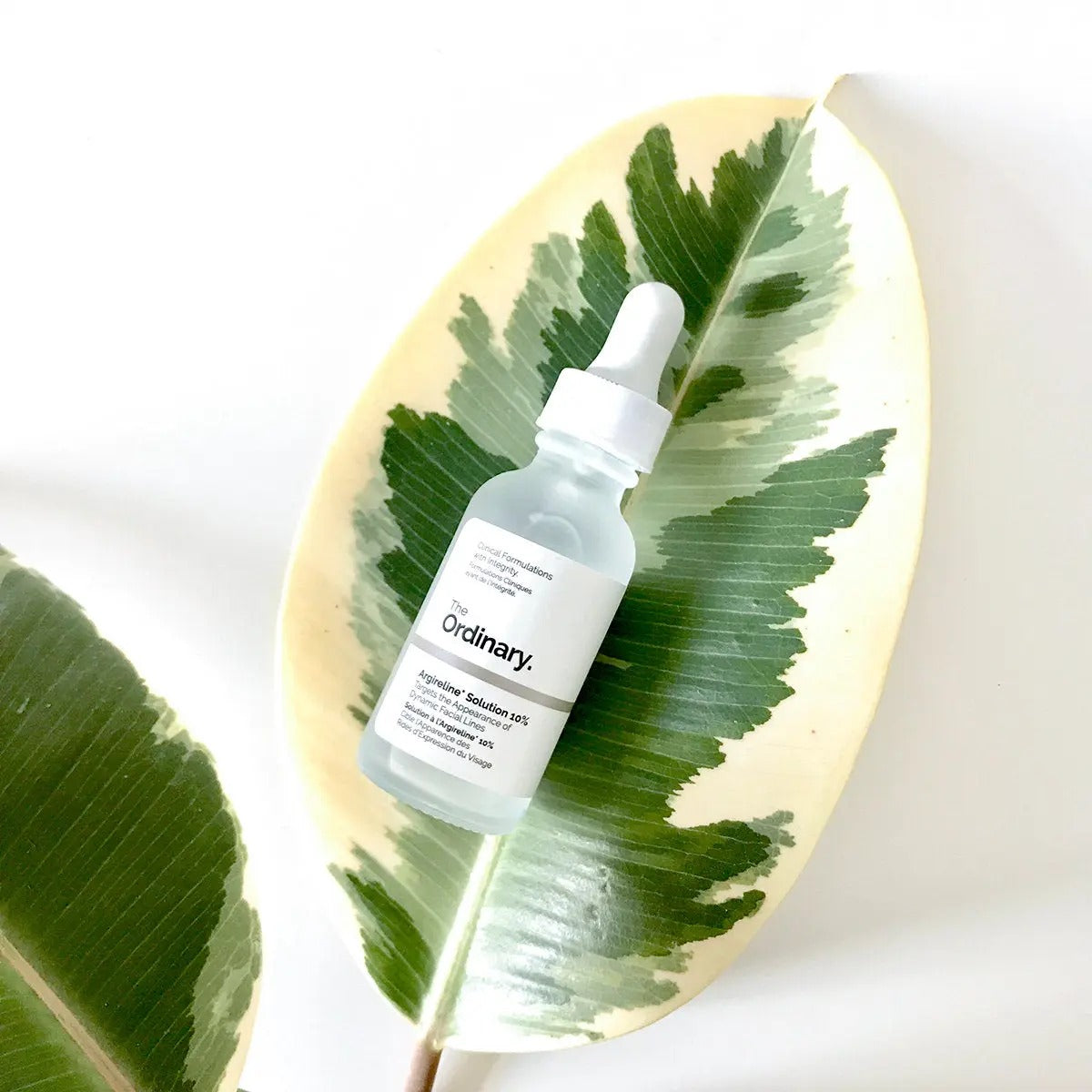 The Ordinary Argireline Solution 10%